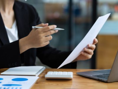 European Personal Tax Planning Consulting and Small Business Tax Documentation Management Services